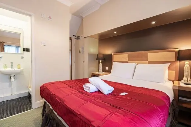 Deluxe Tek Büyük Yataklı Oda, Banyolu/Duşlu