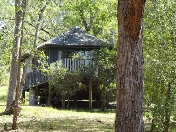 Kulübe (Eagle Wildernest)