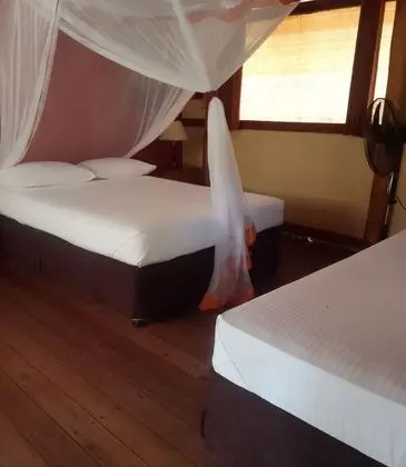 Deluxe Tek Büyük Yataklı Oda, 1 Yatak Odası, Sigara İçilmez, Havuz Kenarı