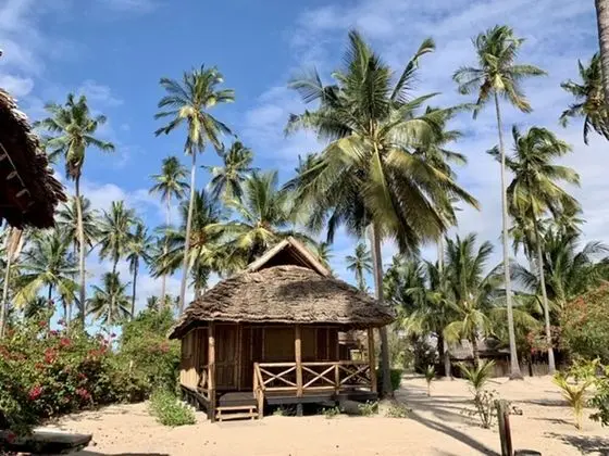 Deluxe Tek Büyük Yataklı Oda, 1 Yatak Odası, Sigara İçilmez, Havuz Kenarı