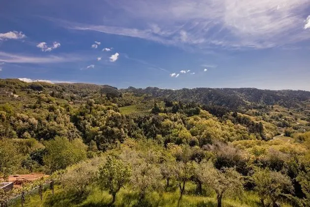 Villa, 4 Yatak Odası