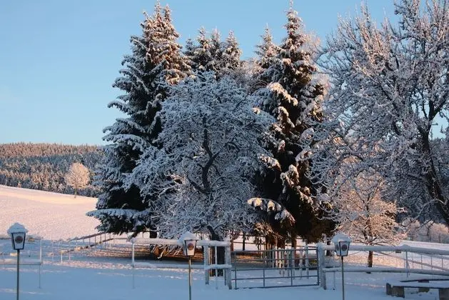 Premium Tek Büyük Yataklı Oda, Balkon, Bahçe Manzaralı