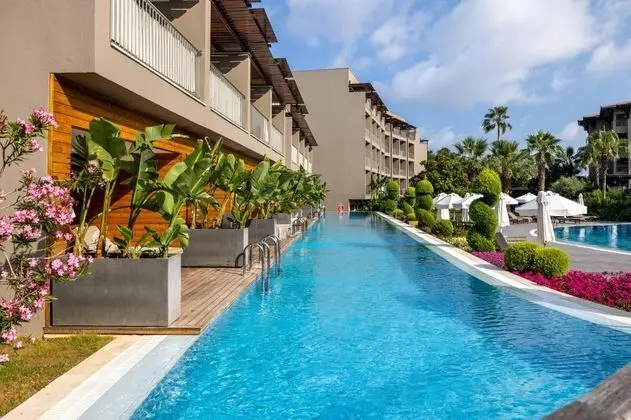 Deluxe Swim Up Room, Havuz ve Bahçe Manzaralı, Havuz Bağlantılı