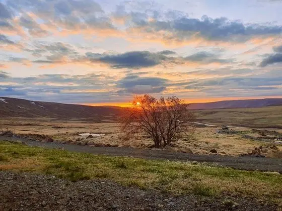Superior Tek Büyük veya İki Ayrı Yataklı Oda, Dağ Manzaralı