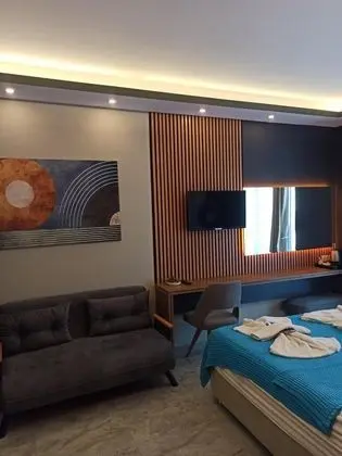 Standart Oda, Bahçe Manzaralı, Balkonlu veya Fransız Balkonlu
