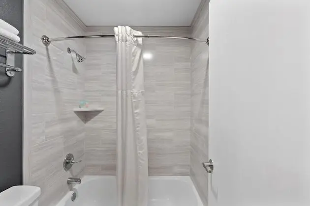 Deluxe Stüdyo Süit, 1 En Büyük (King) Boy Yatak, Sigara İçilmez