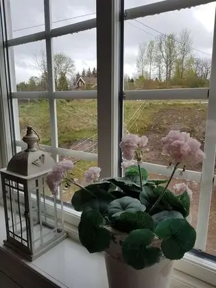 Üç Kişilik Oda, Ortak Banyo