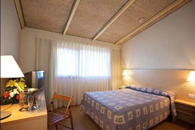 Standard Tek Büyük Yataklı Oda, 1 En Büyük (King) Boy Yatak