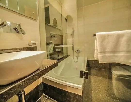 Premium Süit, 1 En Büyük (King) Boy Yatak, Buzdolabı, Park Manzaralı