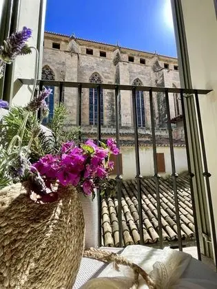 Standard Tek Büyük Yataklı Oda, Şehir Manzaralı