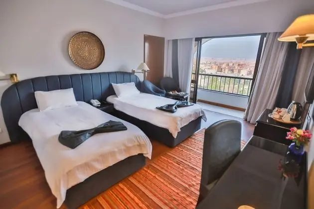 Deluxe Tek Büyük veya İki Ayrı Yataklı Oda, Şehir Manzaralı