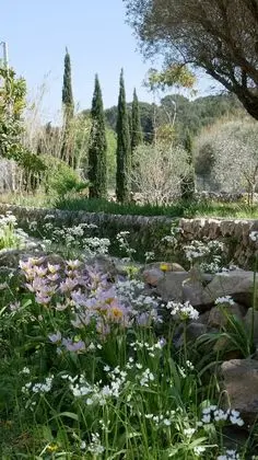 Tek Büyük Yataklı Oda (Jardin)