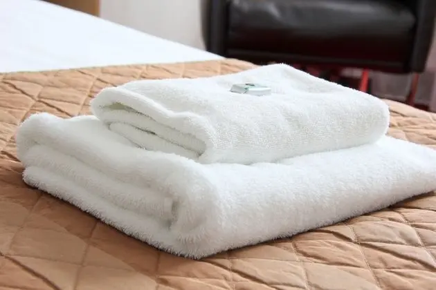 Deluxe Oda, 2 Tek Kişilik Yatak