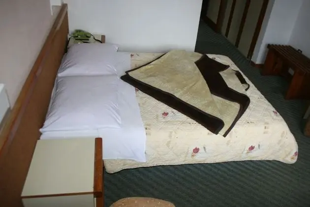 Basic Tek Büyük veya İki Ayrı Yataklı Oda, Dağ Manzaralı