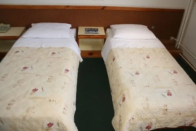 Basic Tek Büyük veya İki Ayrı Yataklı Oda, Dağ Manzaralı