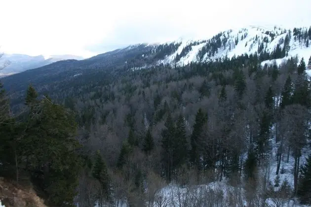 Basic Tek Büyük veya İki Ayrı Yataklı Oda, Dağ Manzaralı