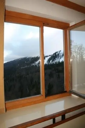 Basic Tek Büyük veya İki Ayrı Yataklı Oda, Dağ Manzaralı