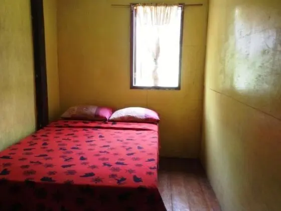 Tek Büyük Yataklı Oda (Budget)