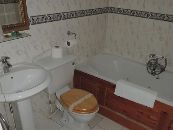 Tek Büyük Yataklı Oda, Banyolu/Duşlu (Spa Bath)