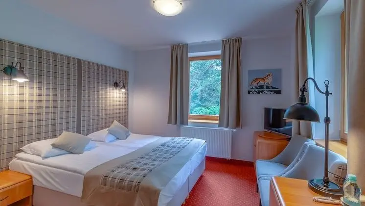 Standard Tek Büyük veya İki Ayrı Yataklı Oda