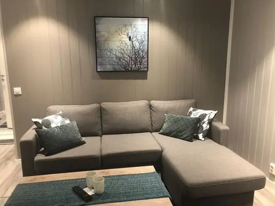 Premium Apart Daire, 3 Yatak Odası, Deniz Manzaralı (Rorbu Makkaur)