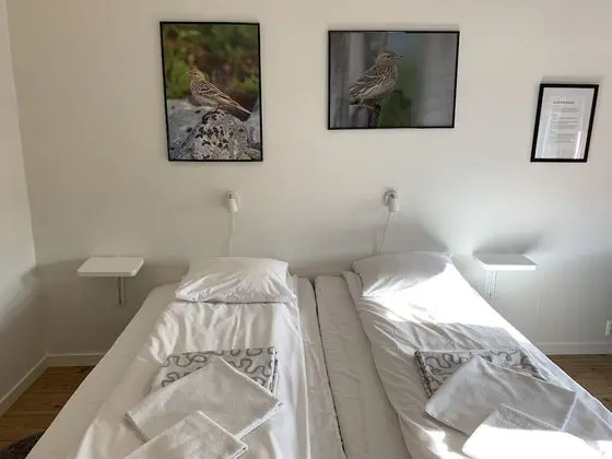 Traditional Tek Büyük veya İki Ayrı Yataklı Oda