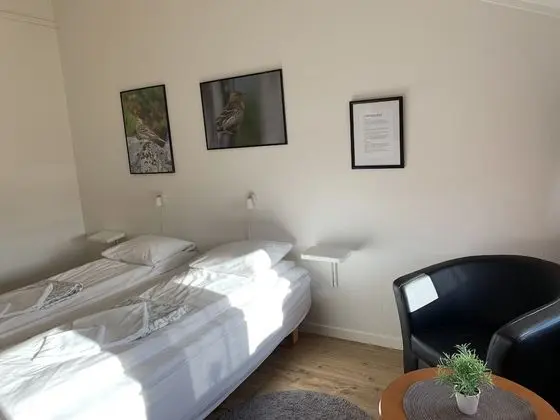 Traditional Tek Büyük veya İki Ayrı Yataklı Oda