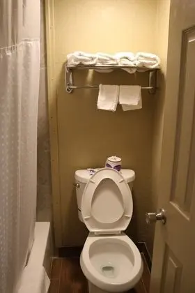 Standard Oda, 1 En Büyük (King) Boy Yatak, Sigara İçilmez, Buzdolabı ve Mikrodalga