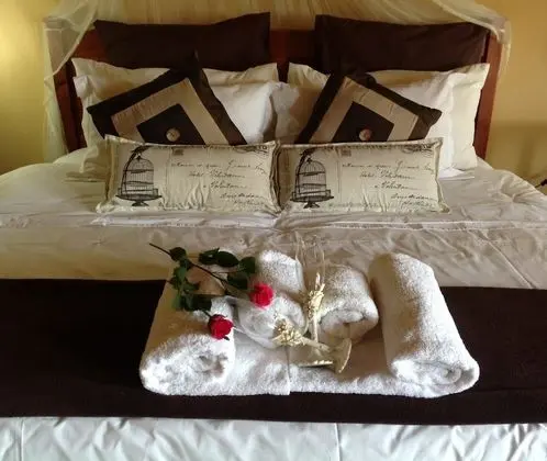 DView Accommodation
