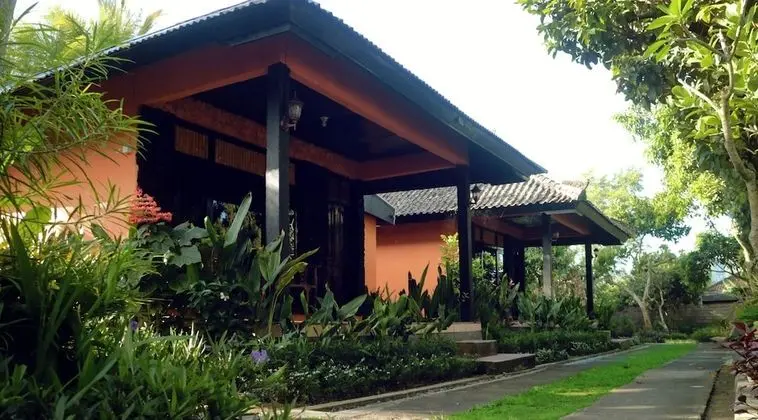 Comfort Oda, Dağ Manzaralı