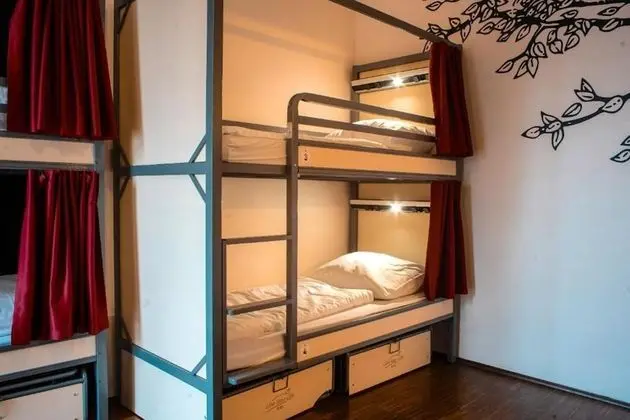 One Bed in 12-Bed Dormitory Room