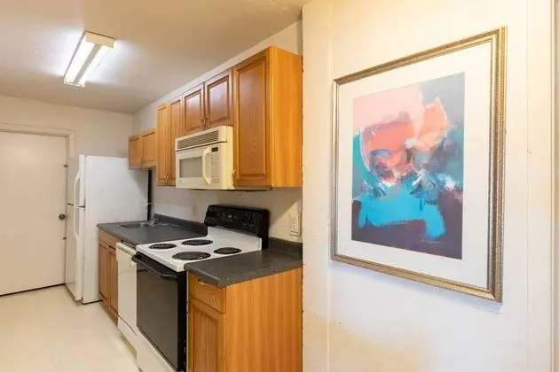 Apart Daire, 1 Yatak Odası