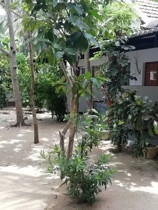 Standard Üç Kişilik Oda, Bahçe Manzaralı
