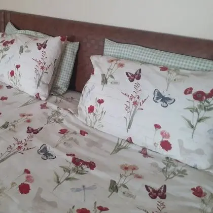 Superior Tek Büyük Yataklı Oda (Room 6 or 7)