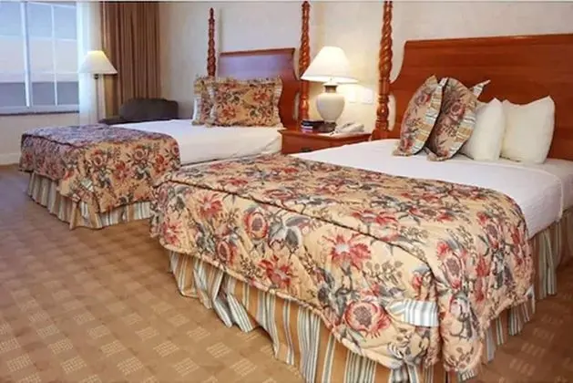 Deluxe Tek Büyük Yataklı Oda, 2 Çift Kişilik Yatak