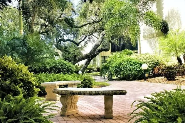 Daire (Bay Oaks, 3rd Floor)