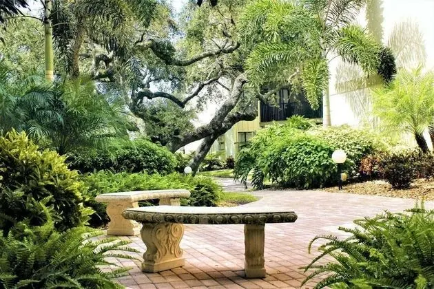 Daire (Bay Oaks On the Bay 3rd Floor)