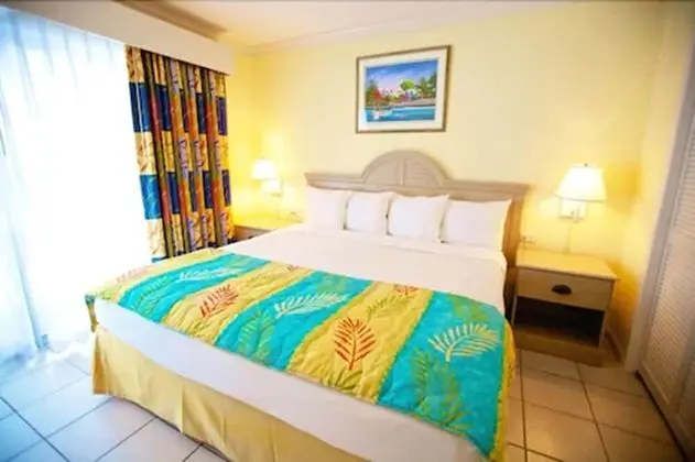 Süit, 1 Yatak Odası (1 king bed)