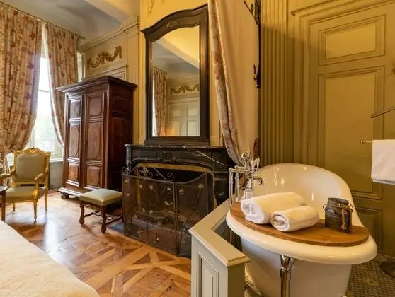 Premium Tek Büyük Yataklı Oda, Küvet, Şehir Manzaralı (Shower)