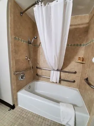 Standard Oda, 1 Büyük (Queen) Boy Yatak, Engellilere Uygun, Şehir Manzaralı