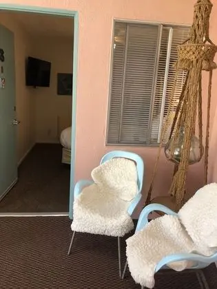 Economy Oda (Pet Friendly, Room 18)