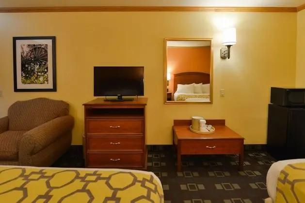 Süit, Birden Çok Yatak, Sigara İçilmez (One-Bedroom)