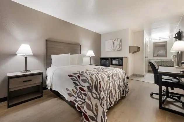 Deluxe Oda, 1 Çift Kişilik Yatak, Engellilere Uygun, Sigara İçilmez (Renovated)