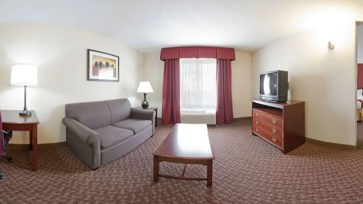 Deluxe Süit, 1 En Büyük (King) Boy Yatak, Sigara İçilmez (One-Bedroom)