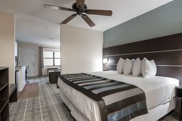 Süit, 1 En Büyük (King) Boy Yatak, Sigara İçilmez (One-Bedroom)