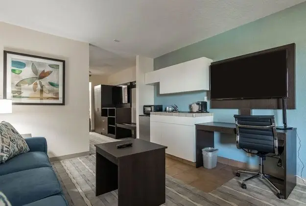Süit, 1 En Büyük (King) Boy Yatak, Sigara İçilmez (One-Bedroom)