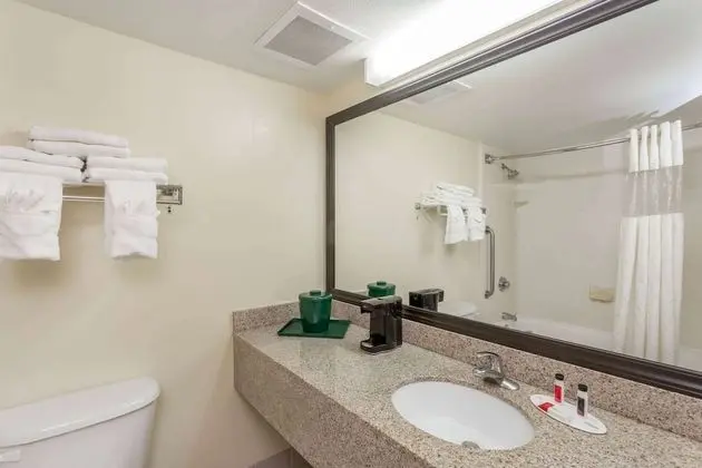 Süit, 1 En Büyük (King) Boy Yatak, Sigara İçilmez (One-Bedroom)