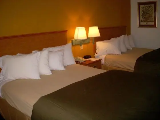 Oda, 2 Büyük (Queen) Boy Yatak, Engellilere Uygun