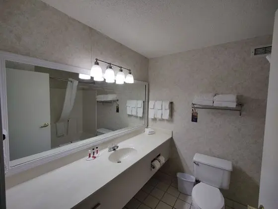 Oda, 2 Büyük (Queen) Boy Yatak, Sigara İçilmez (Pet Friendly)