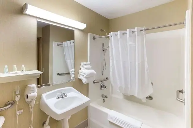 Oda, 1 Çift Kişilik Yatak, Engellilere Uygun, Sigara İçilmez (Accessible Tub)